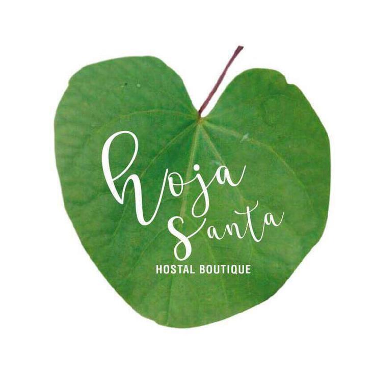 تشولولا Hoja Santa Hostal Boutique المظهر الخارجي الصورة