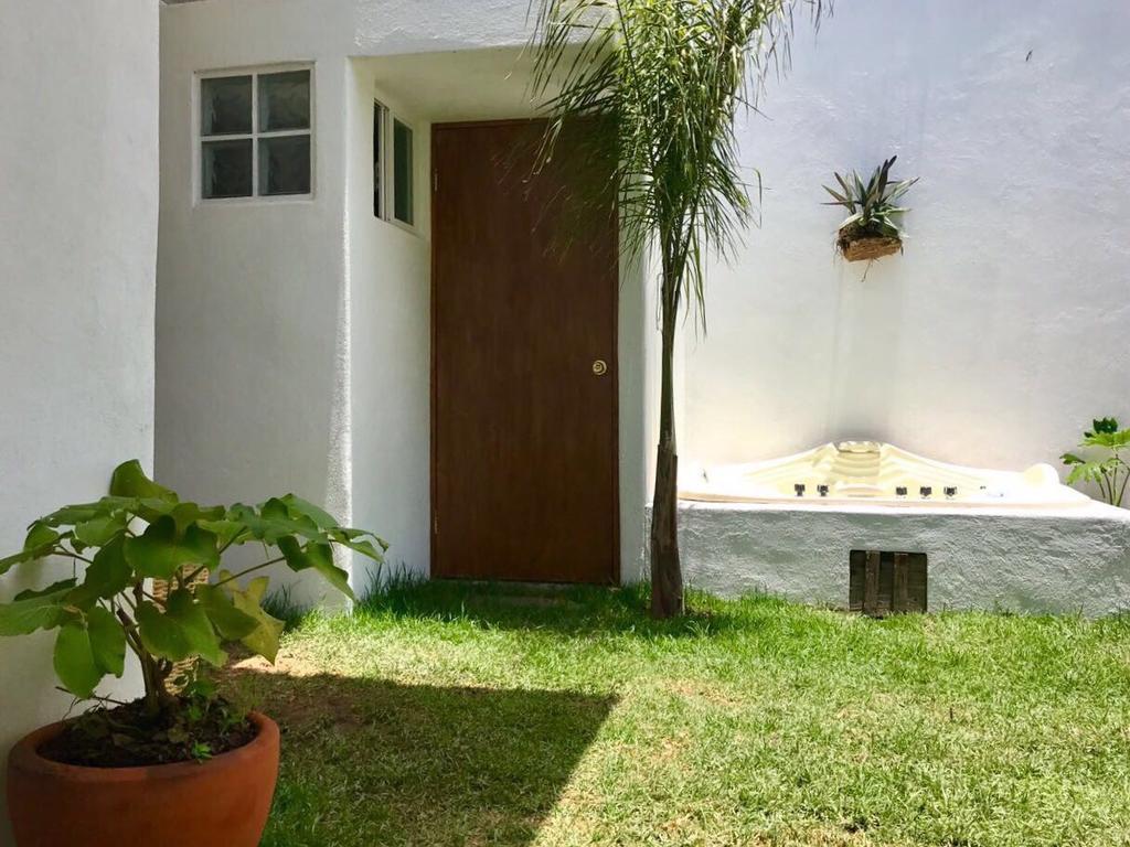 تشولولا Hoja Santa Hostal Boutique المظهر الخارجي الصورة