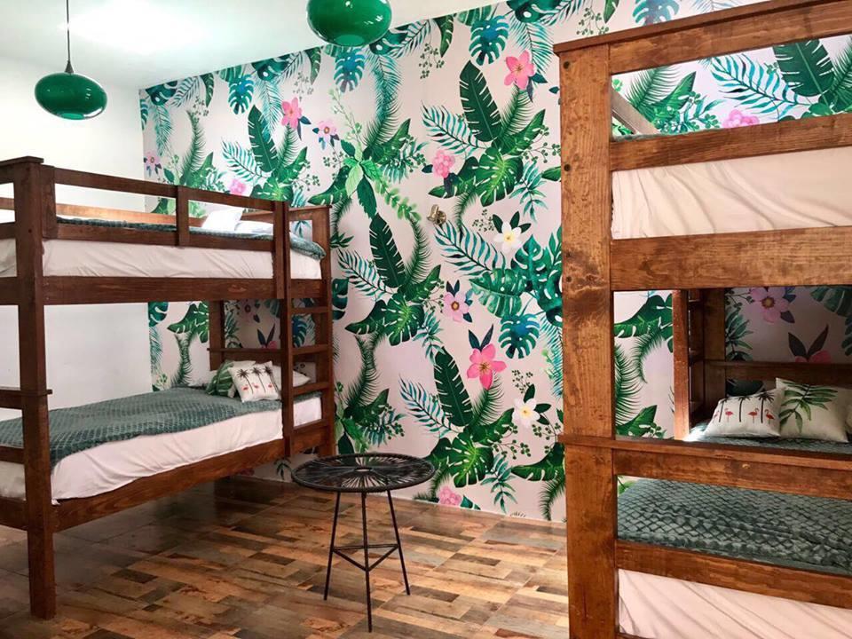 تشولولا Hoja Santa Hostal Boutique المظهر الخارجي الصورة