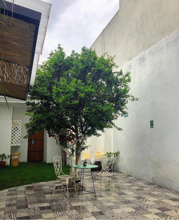 تشولولا Hoja Santa Hostal Boutique المظهر الخارجي الصورة