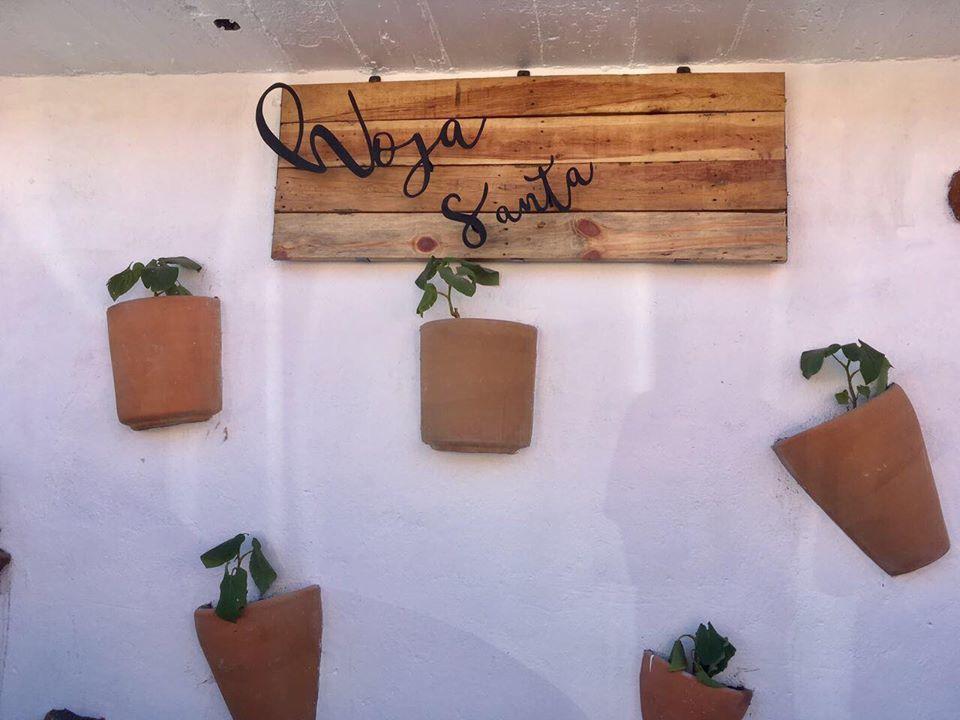 تشولولا Hoja Santa Hostal Boutique المظهر الخارجي الصورة