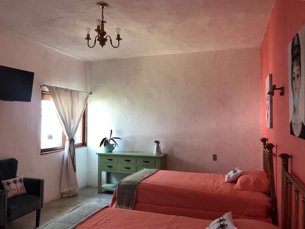 تشولولا Hoja Santa Hostal Boutique المظهر الخارجي الصورة